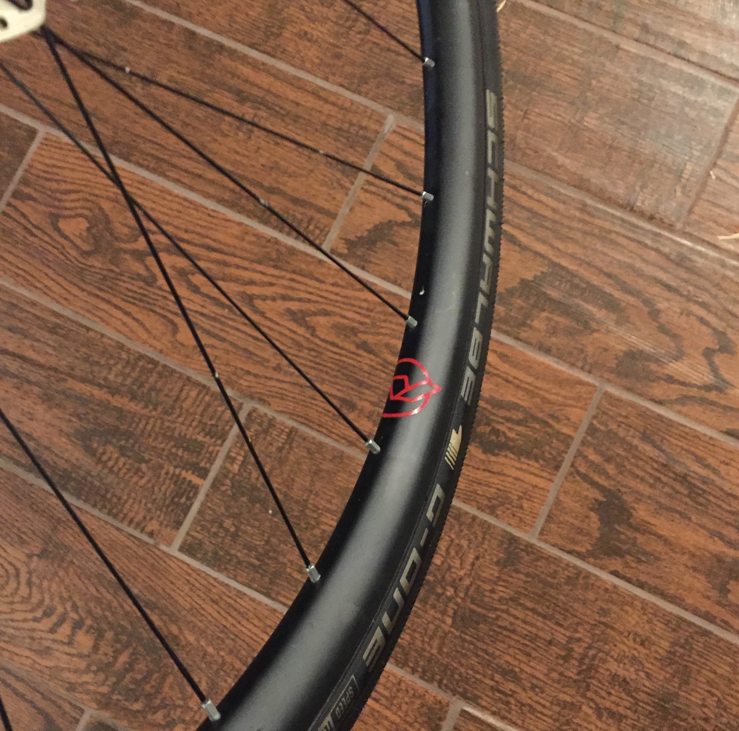New rims and builds, for the new black – November Bicycles