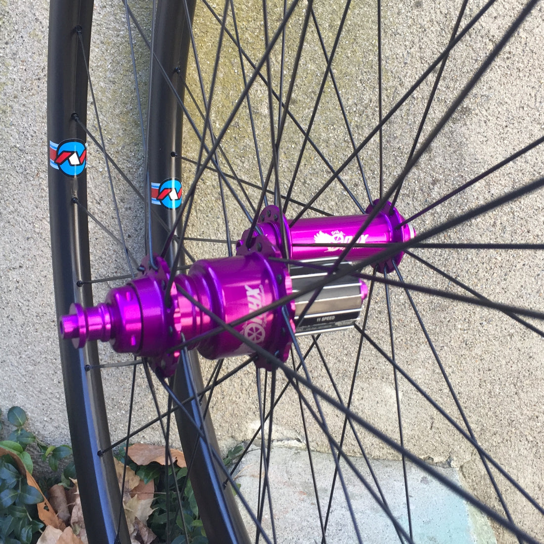 Bicycle best sale wheel hub